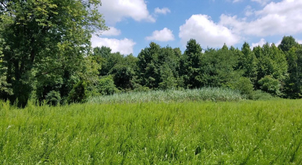 The Brook , , Ireland